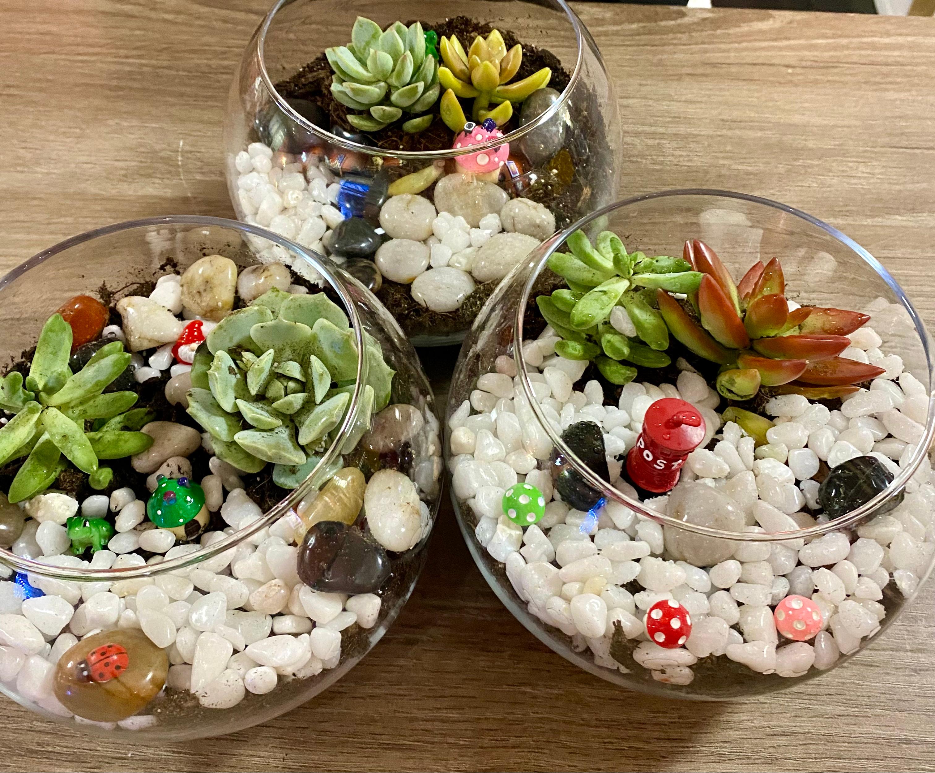 Date Night Terrarium Making Workshop