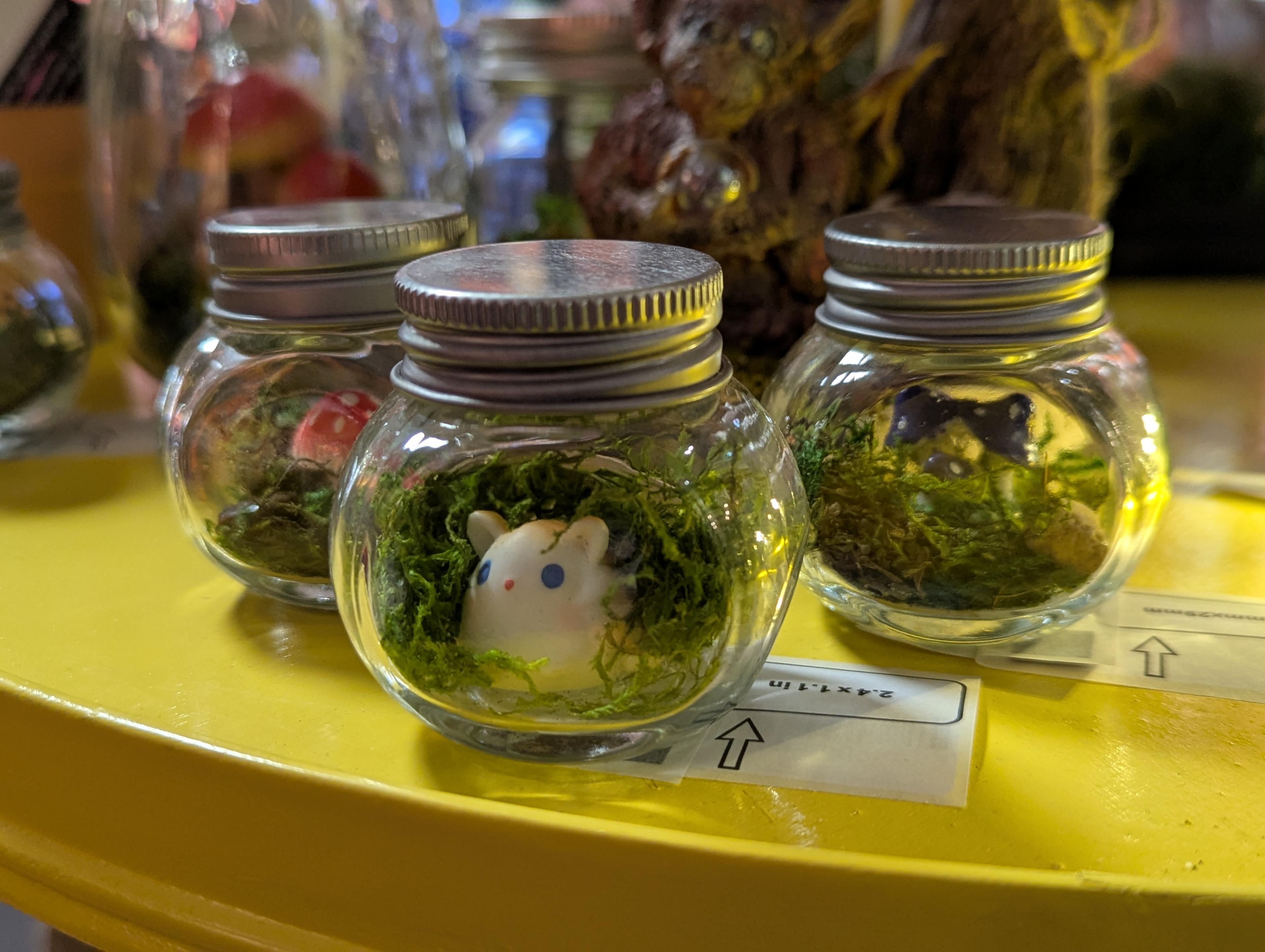 Mini World in a Jar